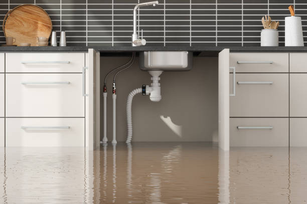 Professional Water damage restoration in West Hattiesburg, MS